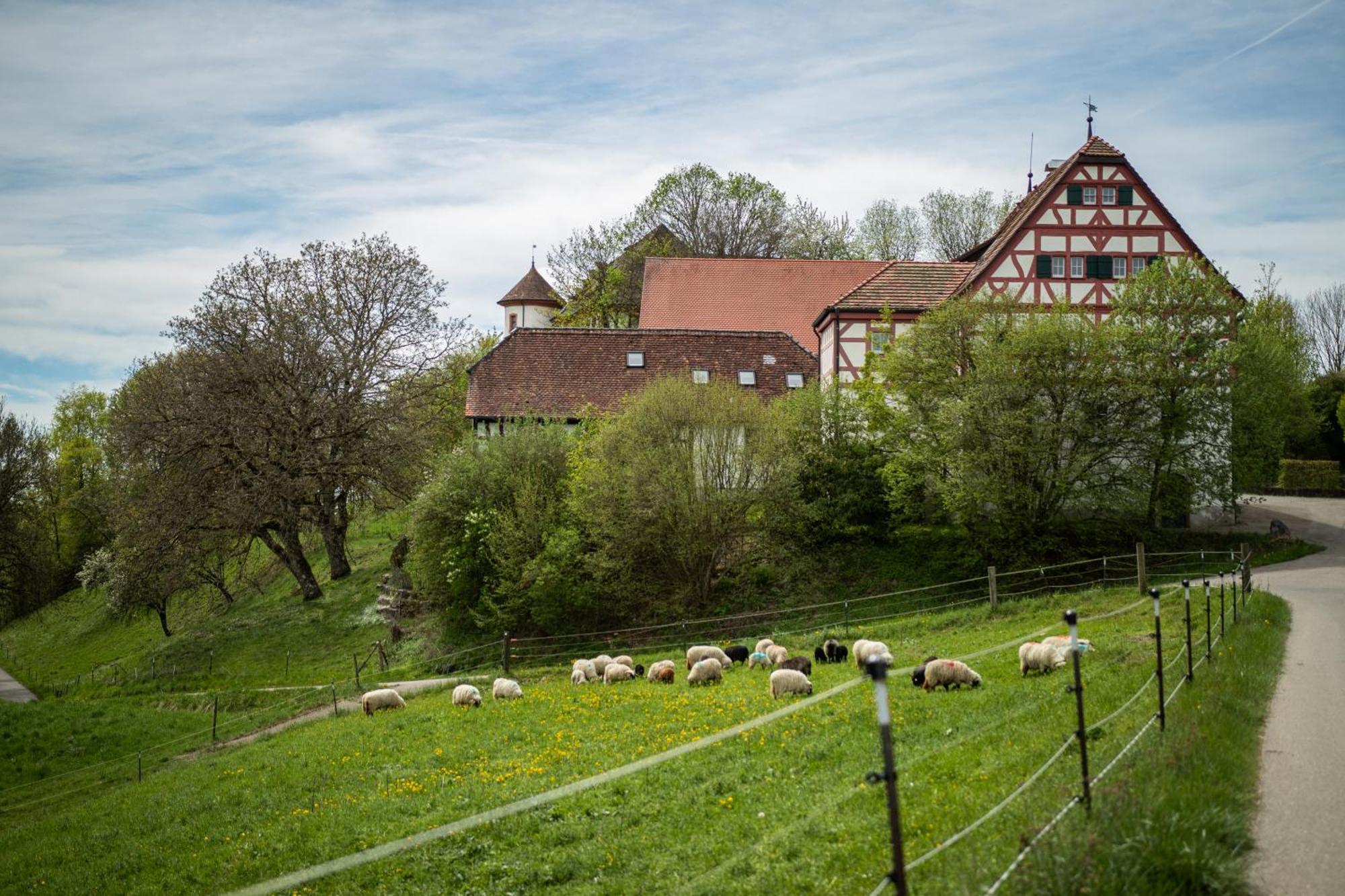 Hotel & Tagungszentrum Schloss Hohenfels Hohenfels (Baden-Wurttemberg) Exterior foto